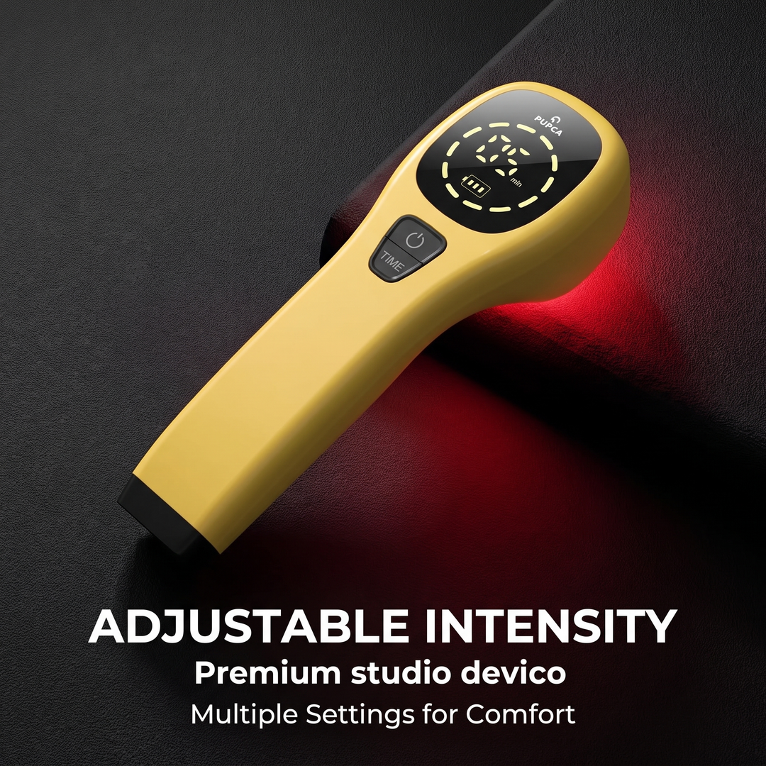 Professional Cold Laser Therapy Device for Pets Handheld Red Light Therapy Tool Designed to Support Joint and Muscle Recovery in Dogs and Cats