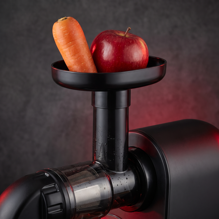 Professional Cold Press Juicer Slow Masticating Juicer - feed chute closeup with whole produce