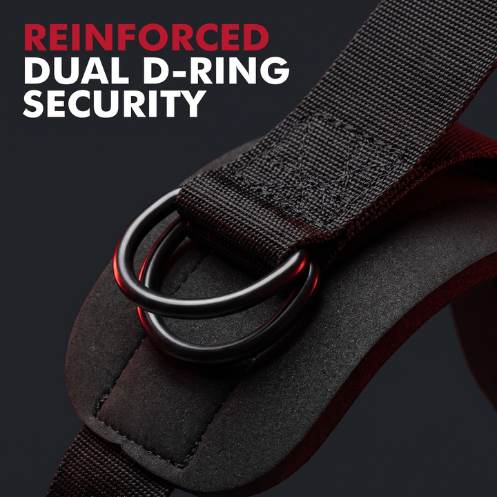 PHYSIOATHLETX Pull-Up Assistance Bands – Reinforced Dual D-Ring Foot Cradle